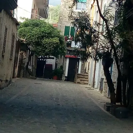 Exclusive Maison Apartment